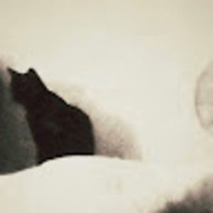 Meet your Posher, Mel